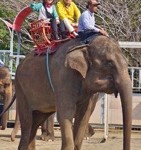 研究室旅行@鴨川