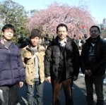 お花見 (2011年皇居付近)