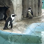 研究室旅行 (カラオケ大会、東京観光)
OBの森田くんが駆けつけてくれました!